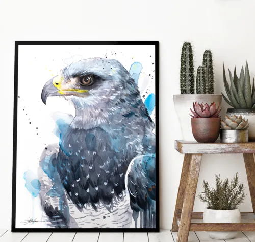Black-chested buzzard-eagle watercolor painting, limited edition art print by Slaveika Aladjova