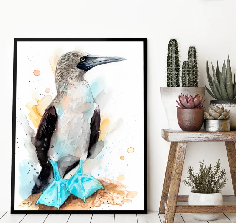 Blue-footed booby watercolor painting, limited edition art print by Slaveika Aladjova, view 3