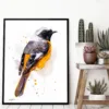 Hodgson's redstart watercolor painting, limited edition art print by Slaveika Aladjova, view 2