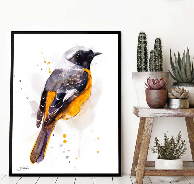 Hodgson's redstart watercolor painting, limited edition art print by Slaveika Aladjova, view 2