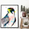 Lanner falcon watercolor painting, limited edition art print by Slaveika Aladjova, view 3