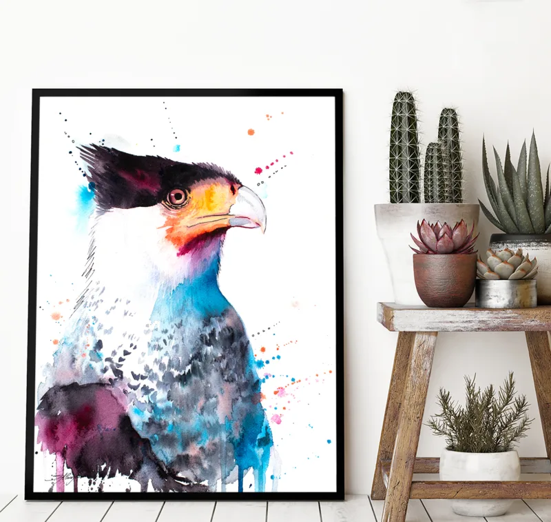 Crested caracara watercolor painting, limited edition art print by Slaveika Aladjova, view 4