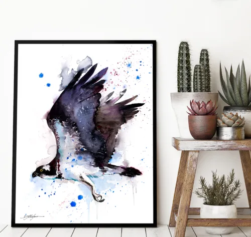 Osprey in flight watercolor painting, limited edition art print by Slaveika Aladjova