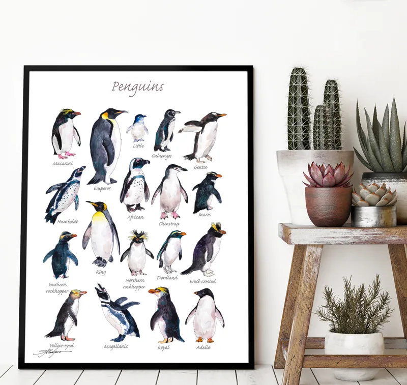Penguins of the world watercolor chart with 18 species, limited edition art print by Slaveika Aladjova, view 3