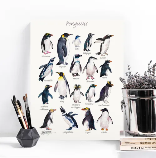 Penguins watercolor painting print by Slaveika Aladjova Penguins of the world watercolor chart with 18 species, limited edition art print by Slaveika Aladjova