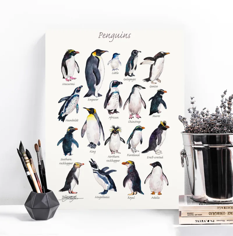 Penguins of the world watercolor chart with 18 species, limited edition art print by Slaveika Aladjova