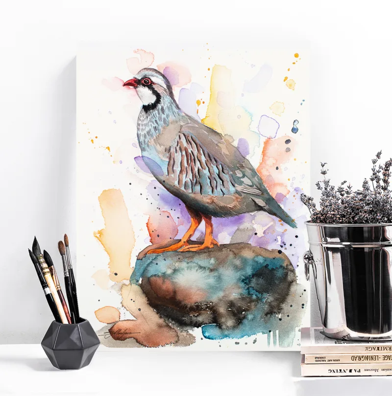 Red-legged partridge watercolor painting, limited edition art print by Slaveika Aladjova, view 4