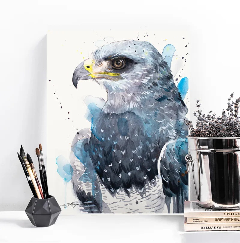 Black-chested buzzard-eagle watercolor painting, limited edition art print by Slaveika Aladjova, view 3