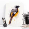 Hodgson's redstart watercolor painting, limited edition art print by Slaveika Aladjova, view 3
