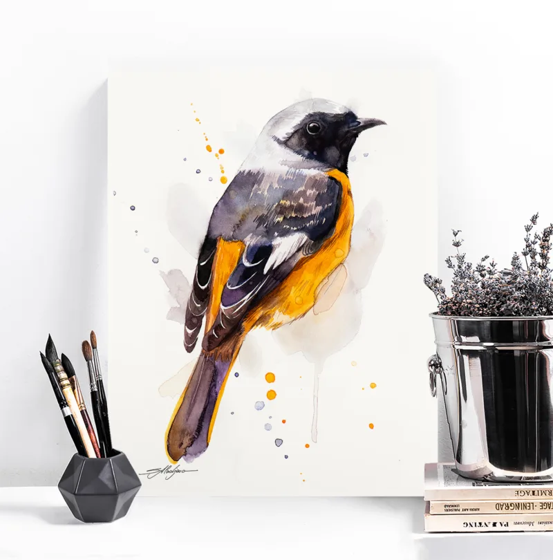 Hodgson's redstart watercolor painting, limited edition art print by Slaveika Aladjova, view 3