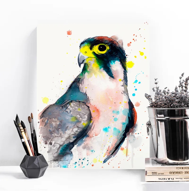 Lanner falcon watercolor painting, limited edition art print by Slaveika Aladjova, view 4