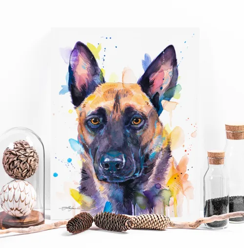 Belgian Malinois watercolor painting, limited edition art print by Slaveika Aladjova