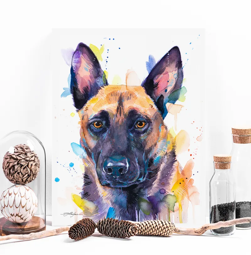 Belgian Malinois watercolor painting, limited edition art print by Slaveika Aladjova