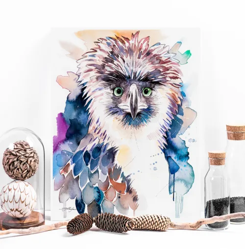 Philippine eagle watercolor painting, limited edition art print by Slaveika Aladjova