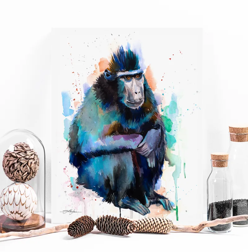 Crested macaque watercolor painting, limited edition art print by Slaveika Aladjova, view 3