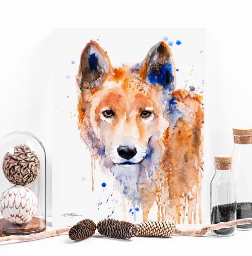 Dingo watercolor painting, limited edition art print by Slaveika Aladjova, view 2