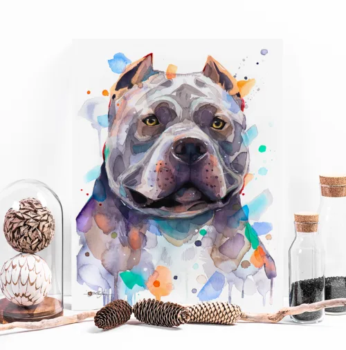 Slaveika-Aladjova-Art-16 American Bully watercolor painting, limited edition art print by Slaveika Aladjova