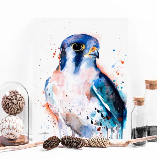 American kestrel watercolor painting, limited edition art print by Slaveika Aladjova, view 2