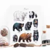 Bears of the world watercolor chart with 8 species, limited edition art print by Slaveika Aladjova