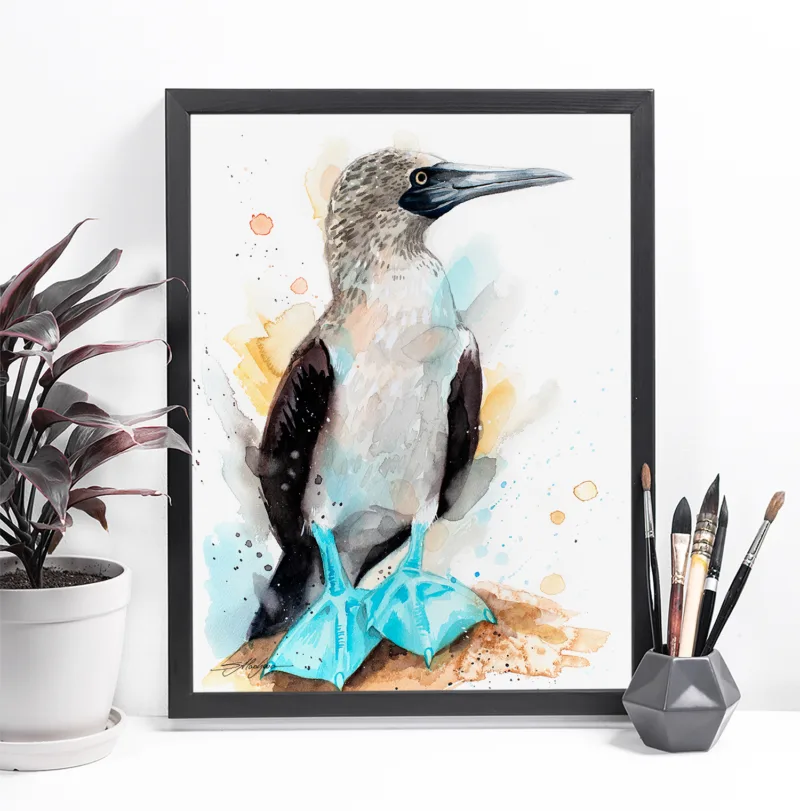 Blue-footed booby watercolor painting, limited edition art print by Slaveika Aladjova, view 4