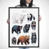 Bears of the world watercolor chart with 8 species, limited edition art print by Slaveika Aladjova, view 2