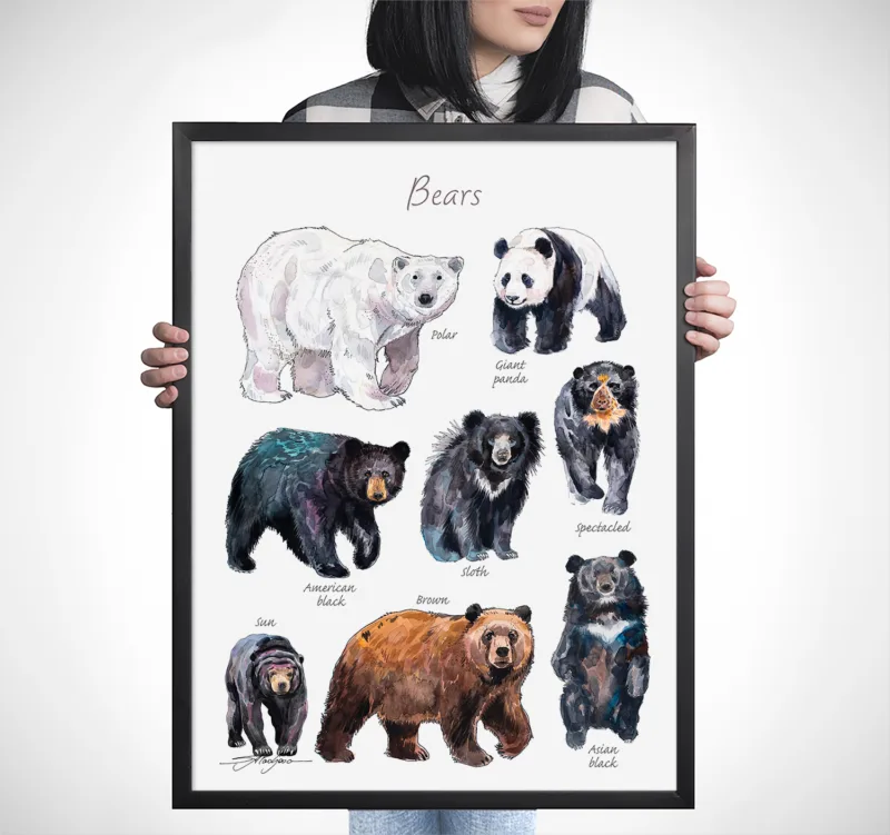 Bears of the world watercolor chart with 8 species, limited edition art print by Slaveika Aladjova, view 2