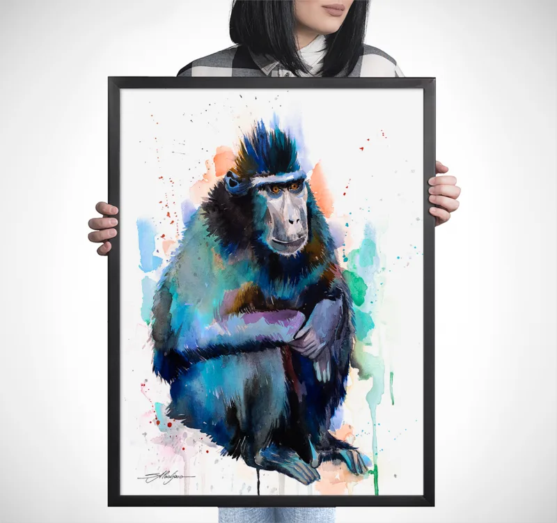 Crested macaque watercolor painting, limited edition art print by Slaveika Aladjova, view 2