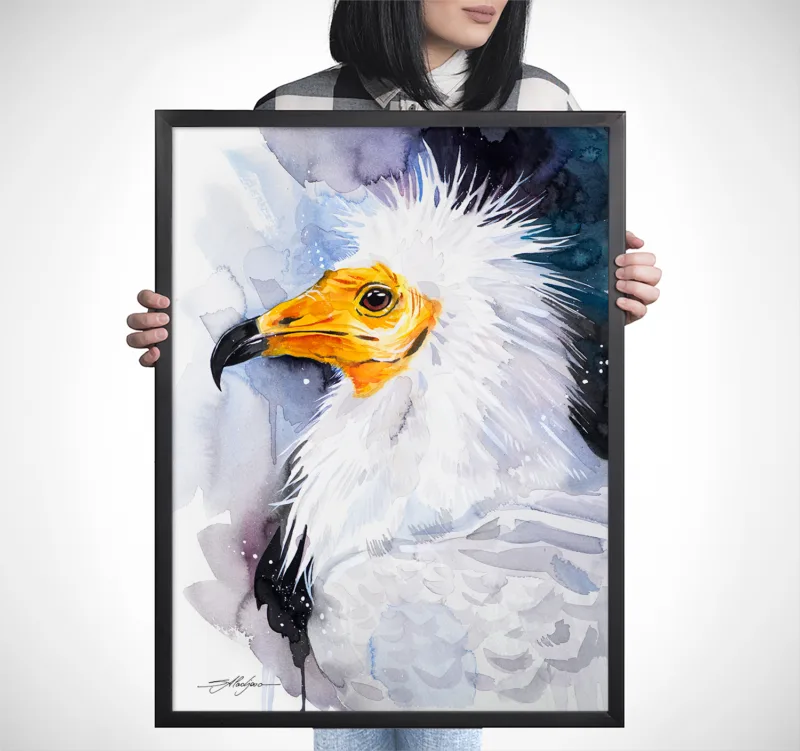 Egyptian vulture watercolor painting, limited edition art print by Slaveika Aladjova