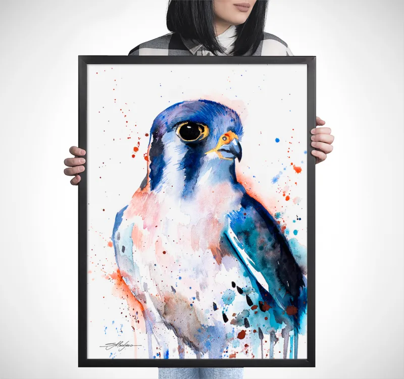 American kestrel watercolor painting, limited edition art print by Slaveika Aladjova, view 3