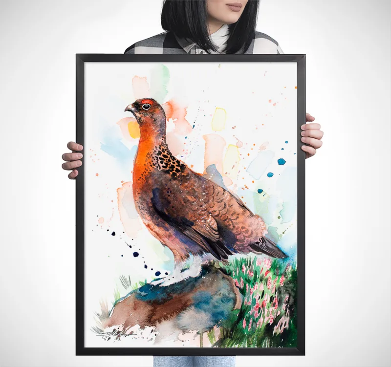 Red grouse watercolor painting, limited edition art print by Slaveika Aladjova, view 3