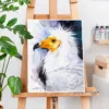 Egyptian vulture watercolor painting, limited edition art print by Slaveika Aladjova, view 2