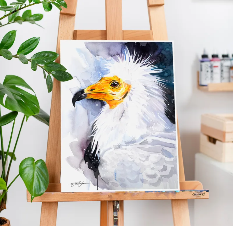 Egyptian vulture watercolor painting, limited edition art print by Slaveika Aladjova, view 2