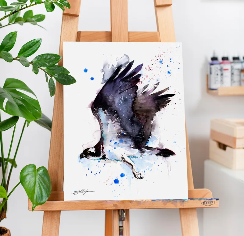 Osprey in flight watercolor painting, limited edition art print by Slaveika Aladjova, view 3