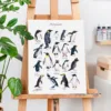 Penguins of the world watercolor chart with 18 species, limited edition art print by Slaveika Aladjova, view 2