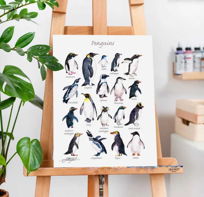 Penguins of the world watercolor chart with 18 species, limited edition art print by Slaveika Aladjova, view 2