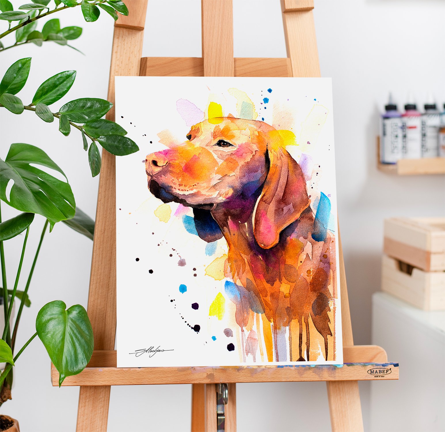 What Collectors Say 56 Vizsla