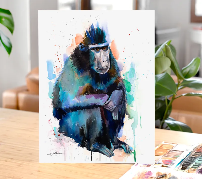 Crested macaque watercolor painting, limited edition art print by Slaveika Aladjova, view 4