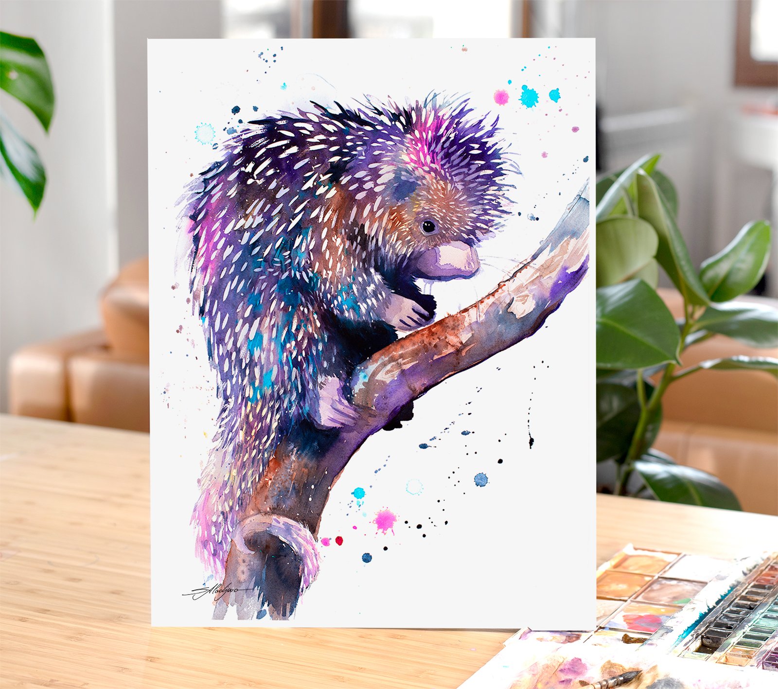 What Collectors Say 7 Prehensile-tailed porcupine