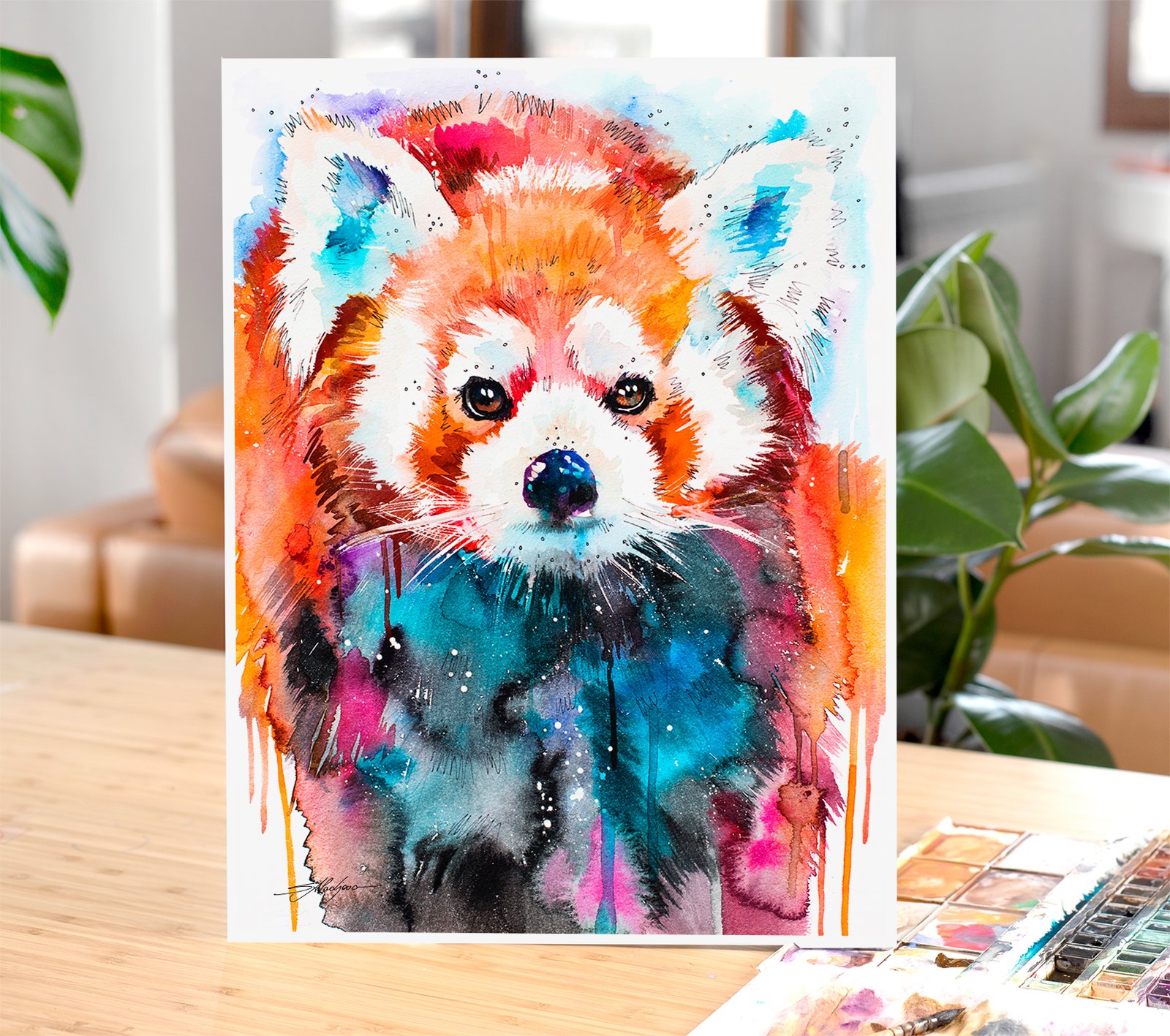 What Collectors Say 18 Red Panda