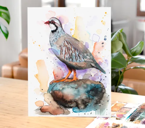 Red-legged partridge watercolor painting, limited edition art print by Slaveika Aladjova