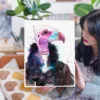 White-headed vulture watercolor painting, limited edition art print by Slaveika Aladjova