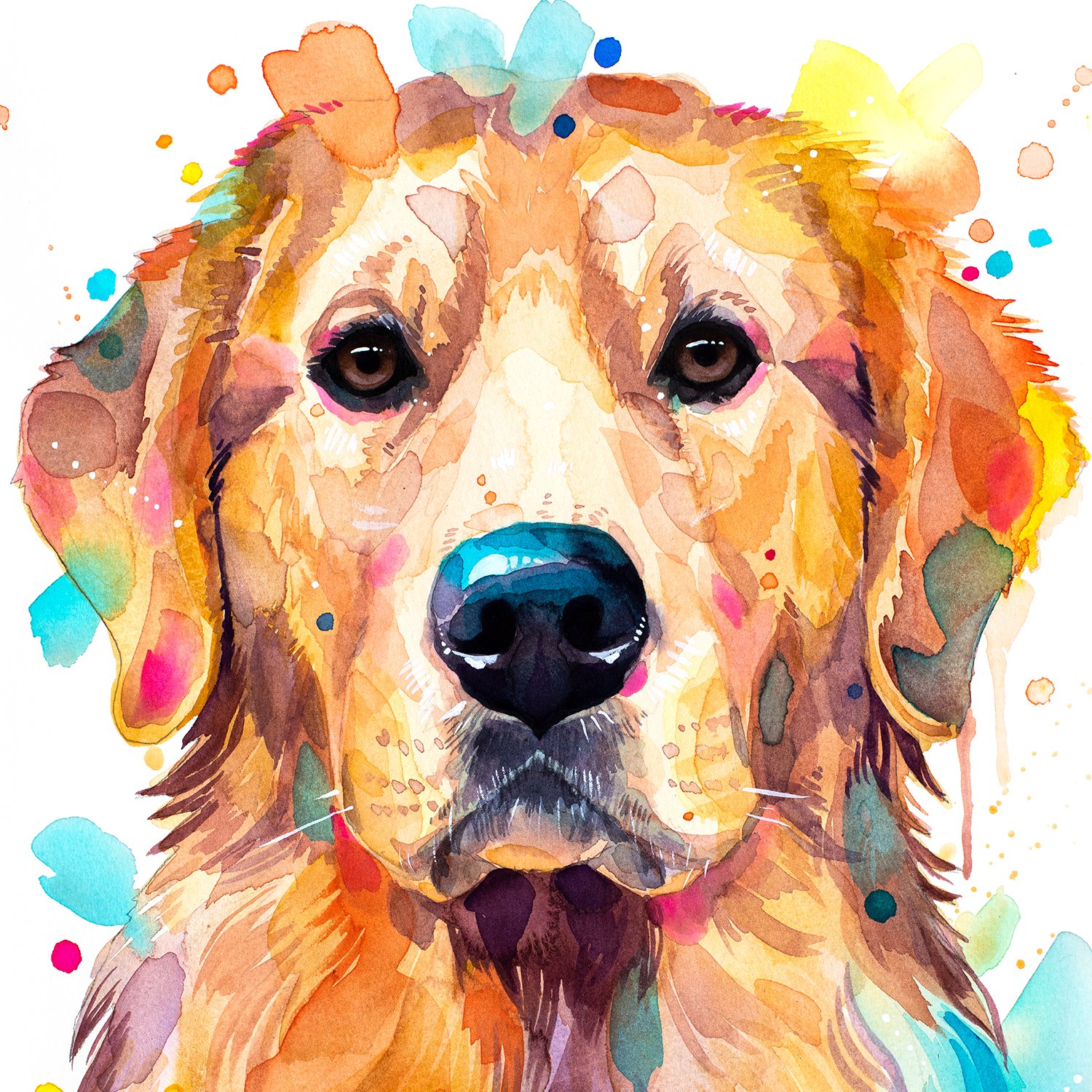 Limited edition dog watercolor art prints by Slaveika Aladjova