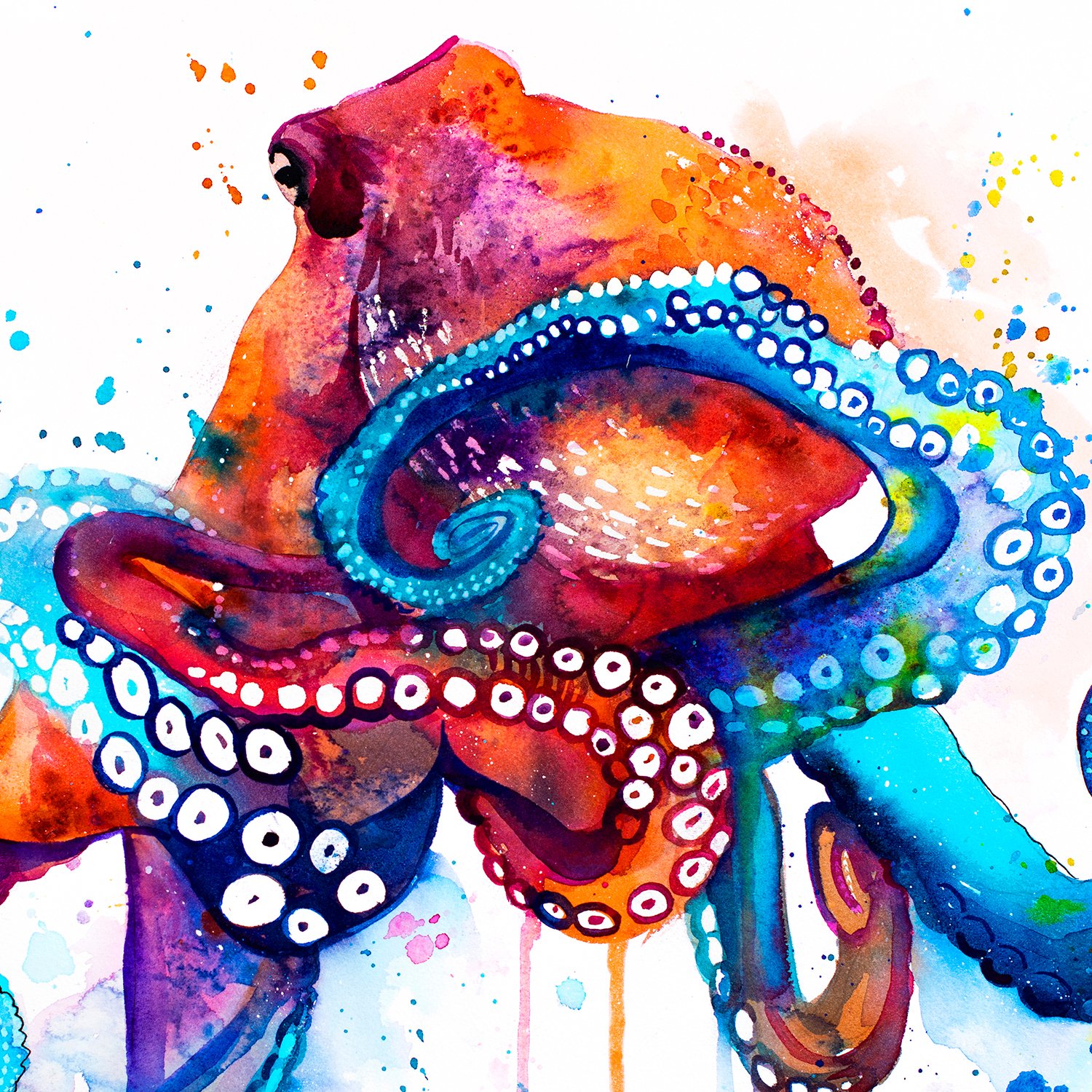 Limited edition fish and sea life watercolor art prints by Slaveika Aladjova
