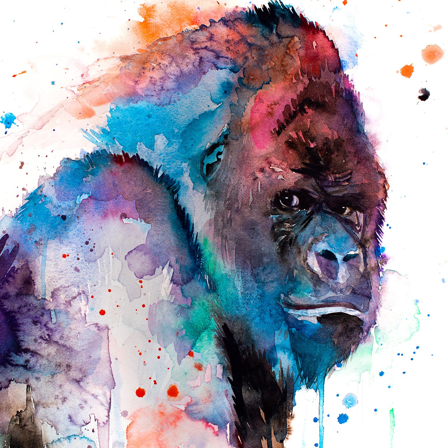 Limited edition animal watercolor art prints by Slaveika Aladjova