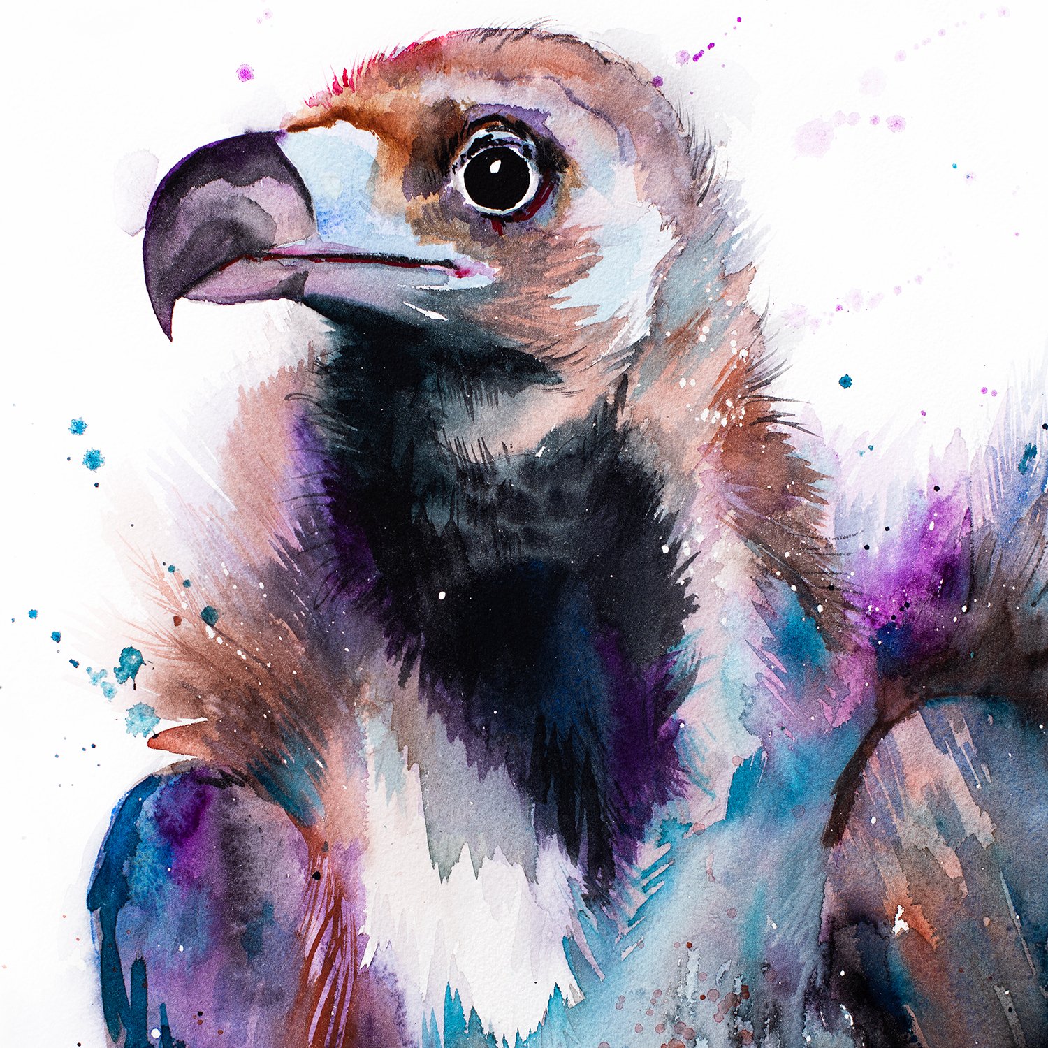 Limited edition bird watercolor art prints by Slaveika Aladjova