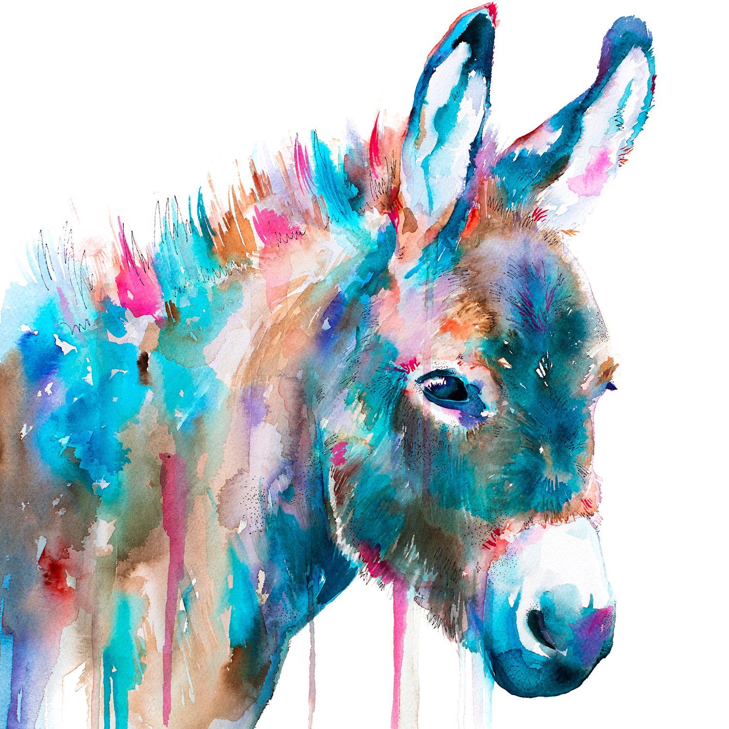 Limited edition farm animal watercolor art prints by Slaveika Aladjova