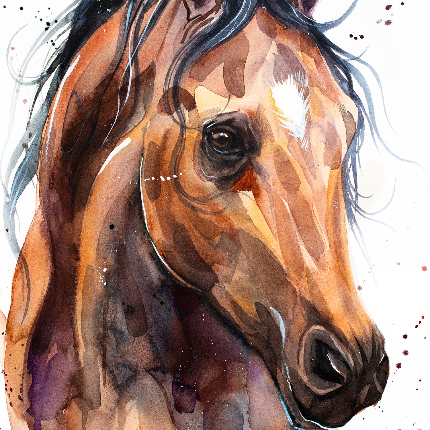 Limited edition horse watercolor art prints by Slaveika Aladjova