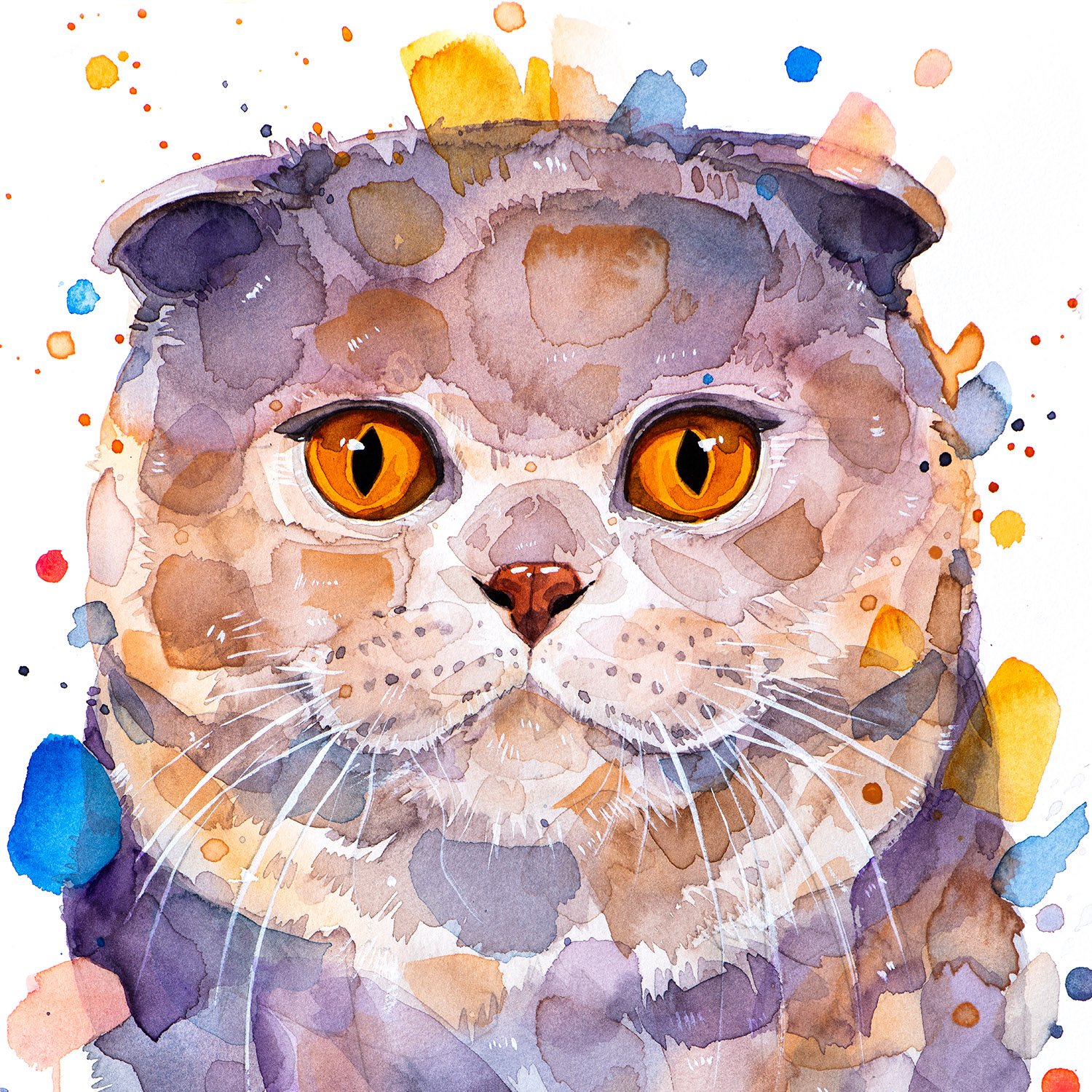 Limited edition cat watercolor art prints by Slaveika Aladjova