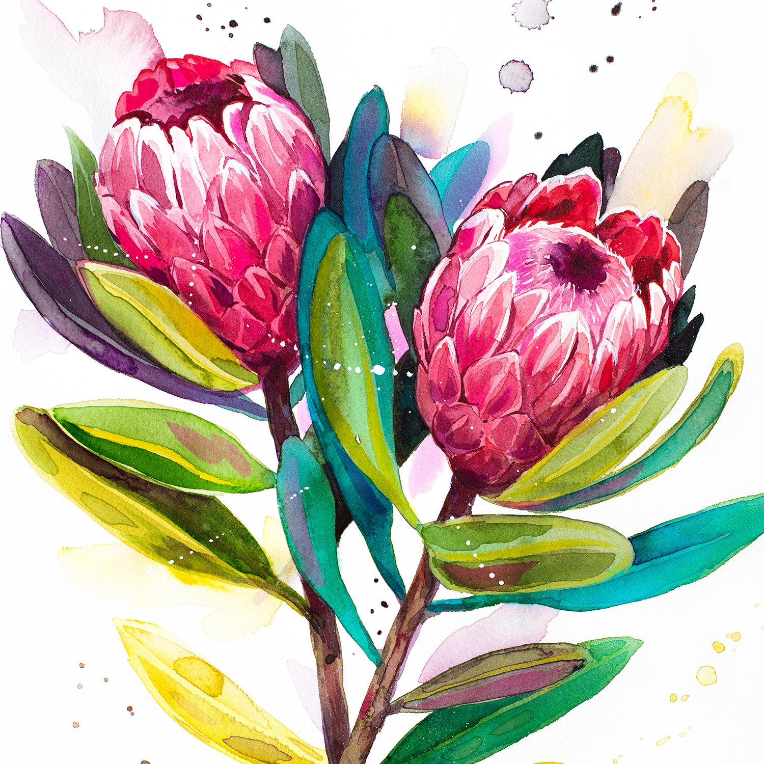 Limited edition botanical and nature watercolor art prints by Slaveika Aladjova