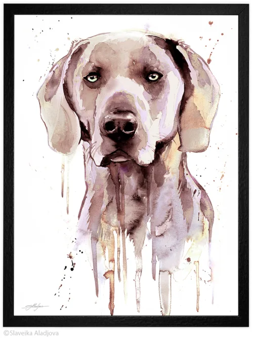 Weimaraner watercolor painting, limited edition art print by Slaveika Aladjova, view 2